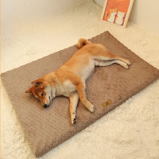 Lit Orthopédique Apaisant pour Animaux de Compagnie™
