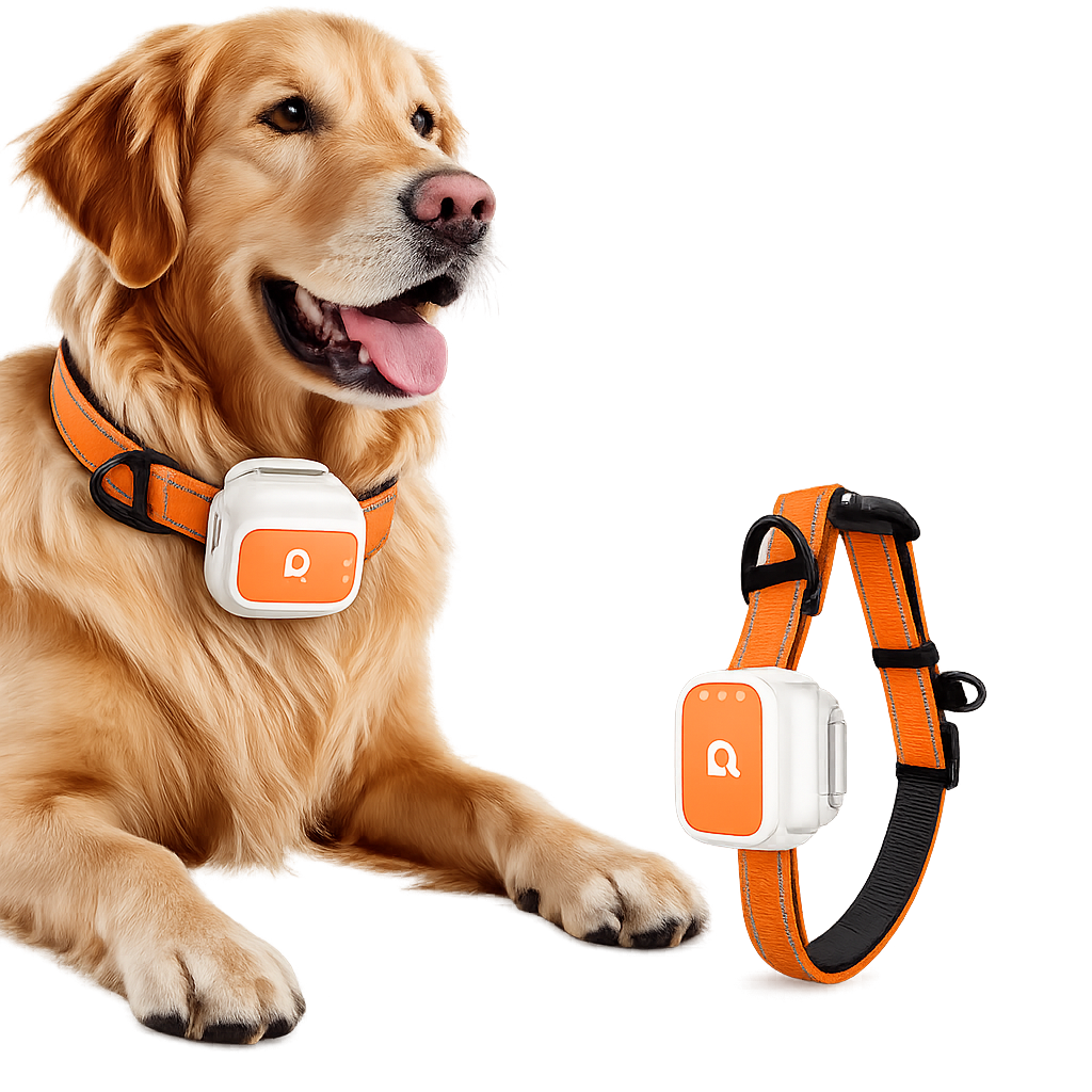 Smart GPS Tracker