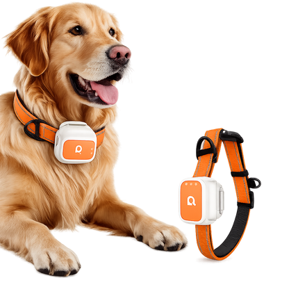 Smart GPS Tracker