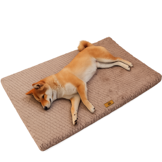Lit Orthopédique Apaisant pour Animaux de Compagnie™
