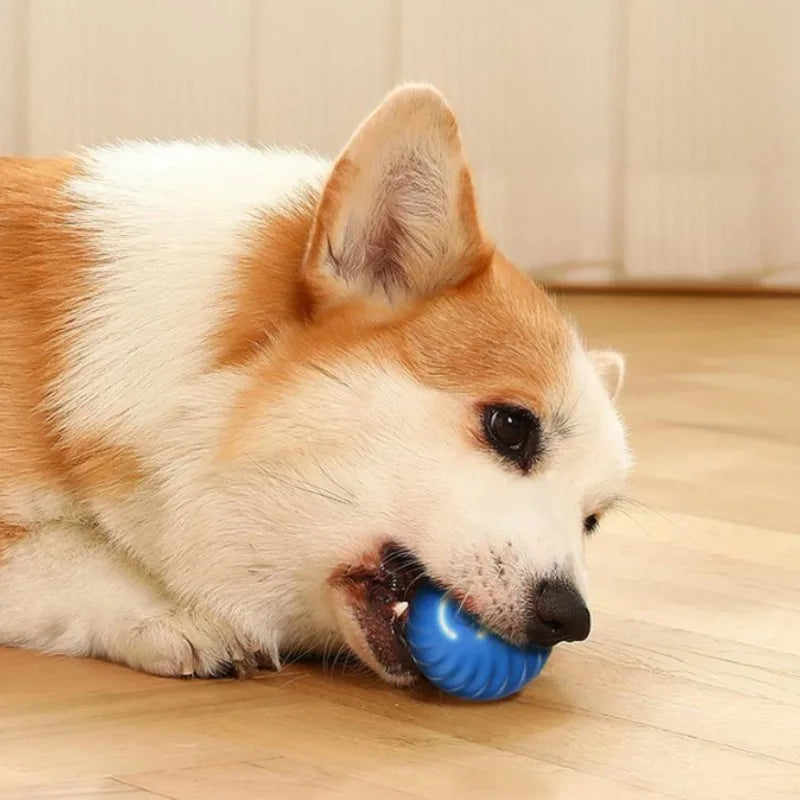 Smart Rolling Ball™