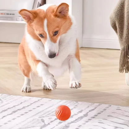 Smart Rolling Ball™