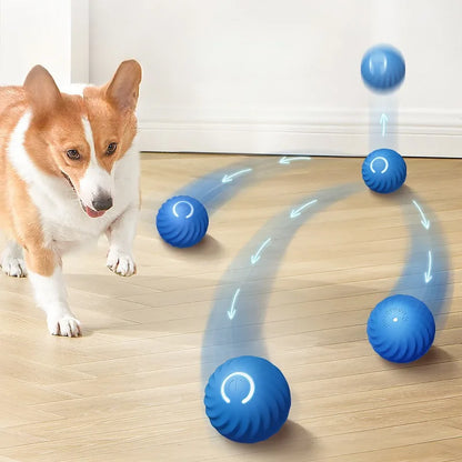 Smart Rolling Ball™