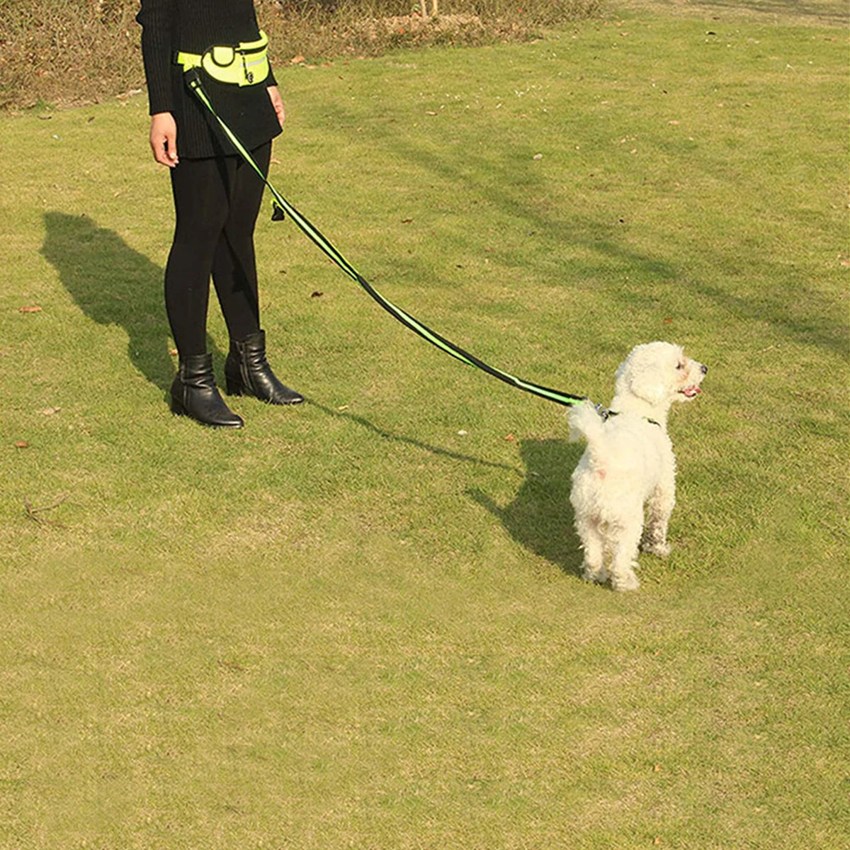 Hands-Free Running Leash™